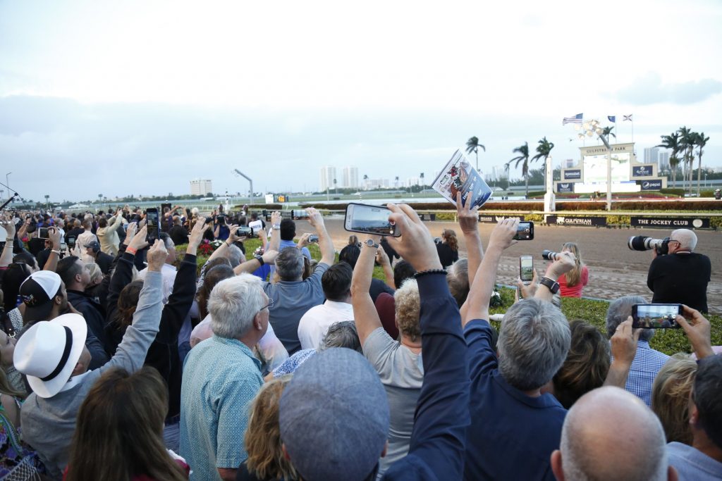 Pegasus General Admission Tickets Pegasus World Cup