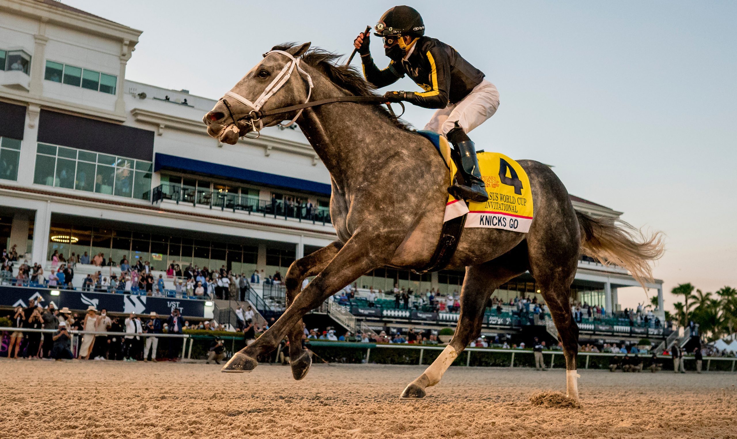 World Class Horse Racing In South Florida PEGASUS