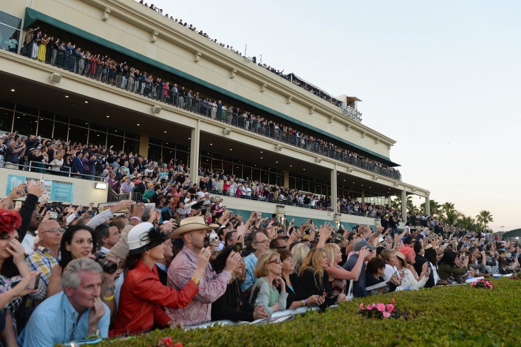 Gulfstream Park Seating Map | Elcho Table