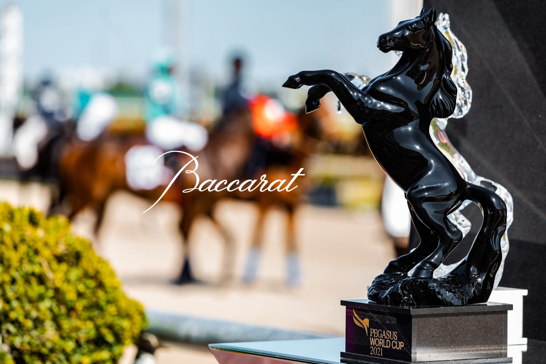 pegasus world cup 2024 tickets price