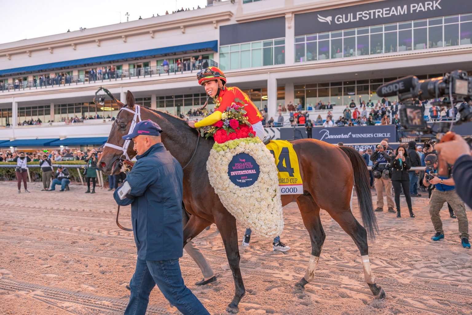 World Class Horse Racing In South Florida Pegasus World Cup