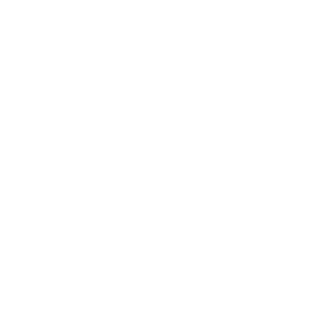 davidoff logo