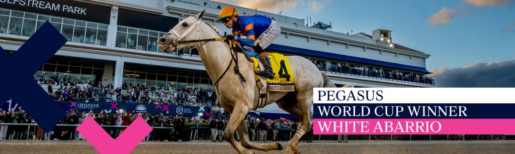 Pegasus World Cup Winner Banner