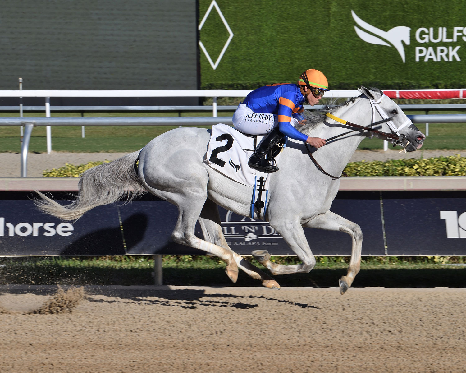 white abbario running